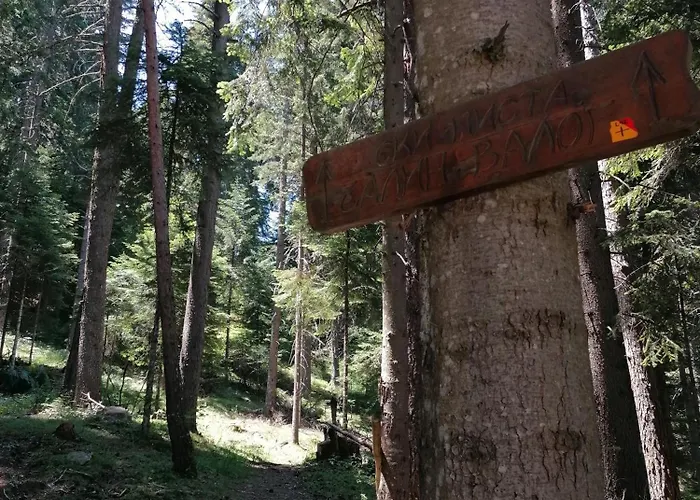 Hotel Katerina Bansko